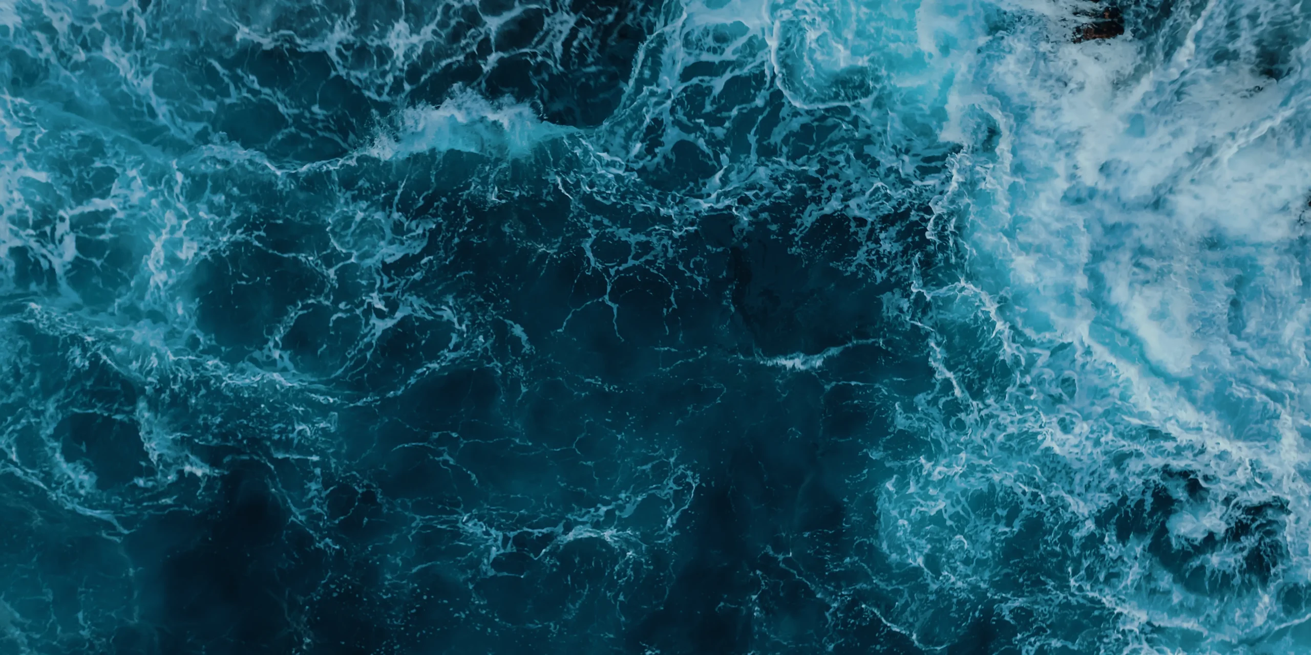 wavemaker growth